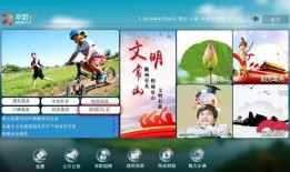 名人大爆料五常视频,名人大爆料视频深度解析