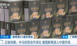 榴莲月饼爆料视频大全集,揭秘热门爆料视频大全集